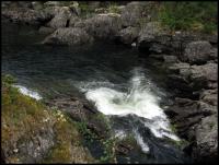 Bifogad bild: norge2010augusti823.jpg